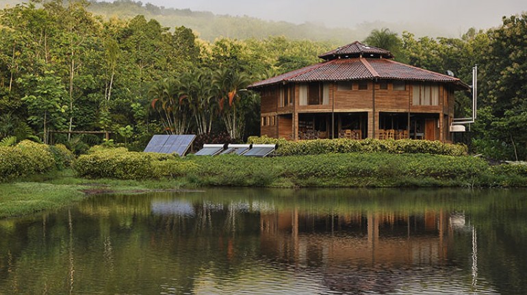 Sustainable And Eco-Friendly Hotels That Are Worth The Visit