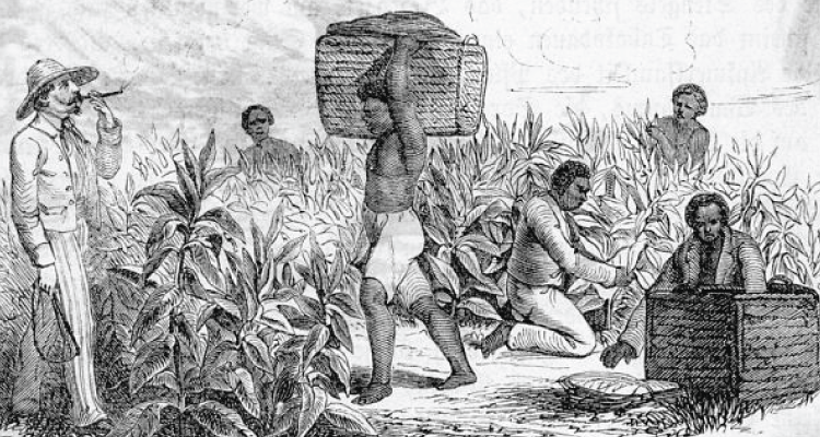 8_Indian-economy-during-British-rule | Beyond The Punchlines British Era: Was ‘Drain Of Wealth’ Responsible For India’s Poor Economic Status?