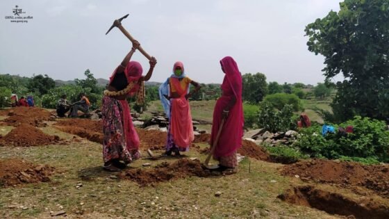 NGOs that are doing outstanding work in India 3