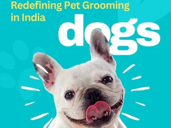 Dog Pet Shop Instagram Post | Beyond The Punchlines