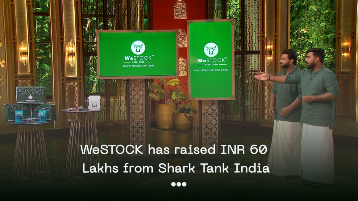 WeSTOCK Is the Smart Farming Startup You Need to Know About | Beyond The Punchlines WeSTOCK Is the Smart Farming Startup You Need to Know About