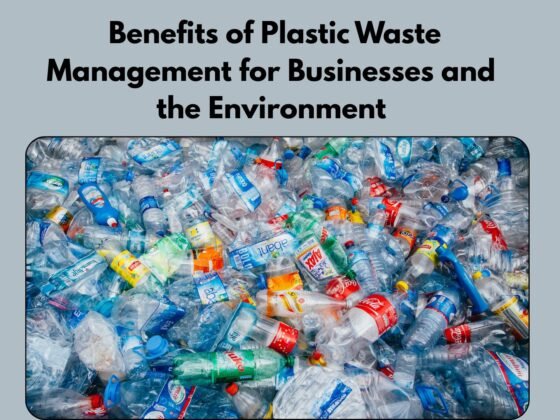 Benefits of Plastic Waste Management for Businesses and the Environment | Beyond The Punchlines Benefits of Plastic Waste Management for Businesses and the Environment