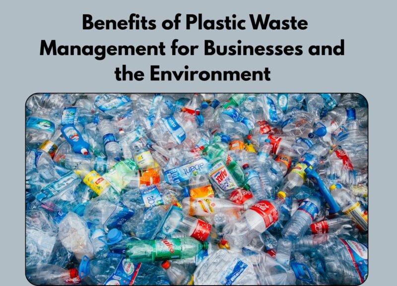Benefits of Plastic Waste Management for Businesses and the Environment | Beyond The Punchlines Benefits of Plastic Waste Management for Businesses and the Environment